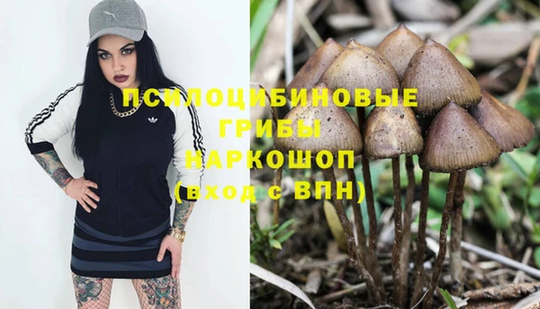спайс Армянск