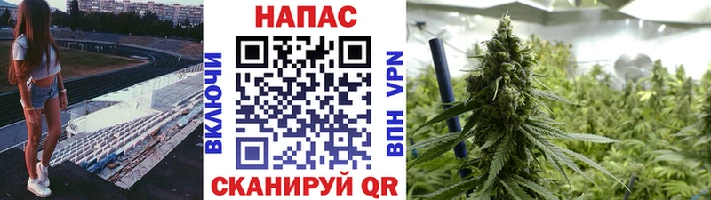Шишки марихуана VHQ  Купить где  Батайск 